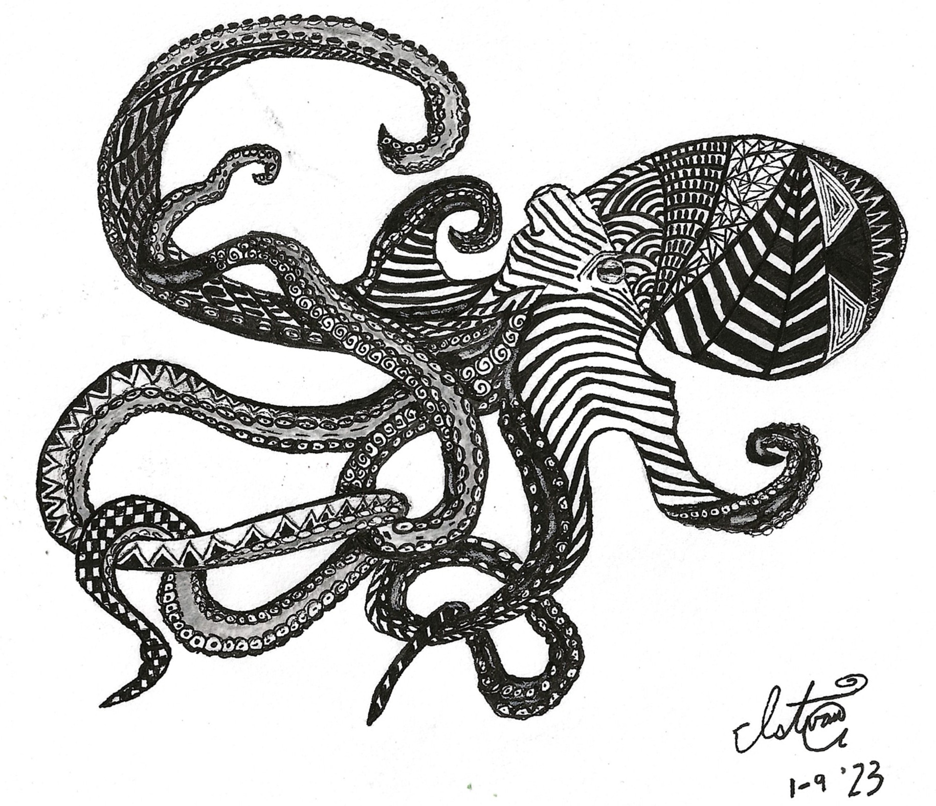 Octopus